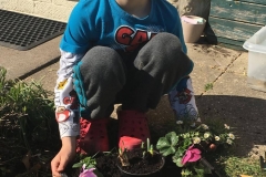 bc0bec5d-15ed-410b-a026-3bf55afe4e30