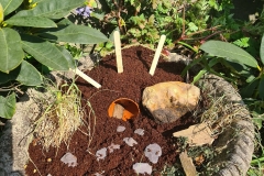 c1a84c6c-f7a0-44b3-8637-9fe67d35f713