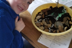 e4e5c6d9-6b74-430b-8b96-333ebf06f282